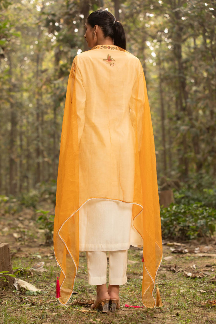 naayab kurta set
