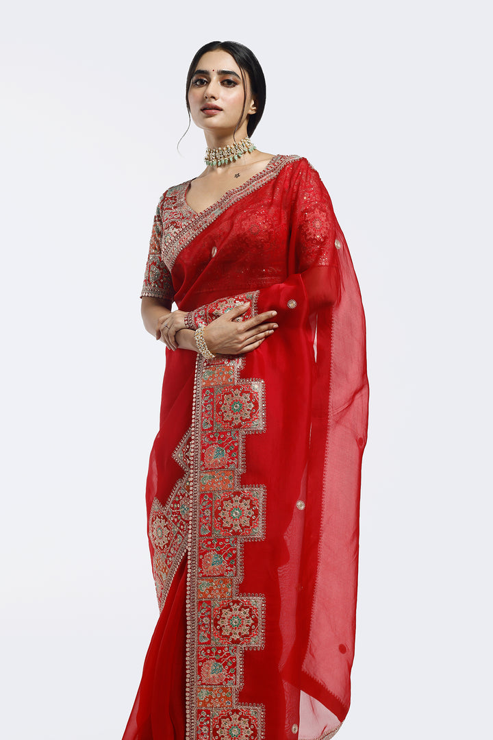 Kasab Edge Organza saree