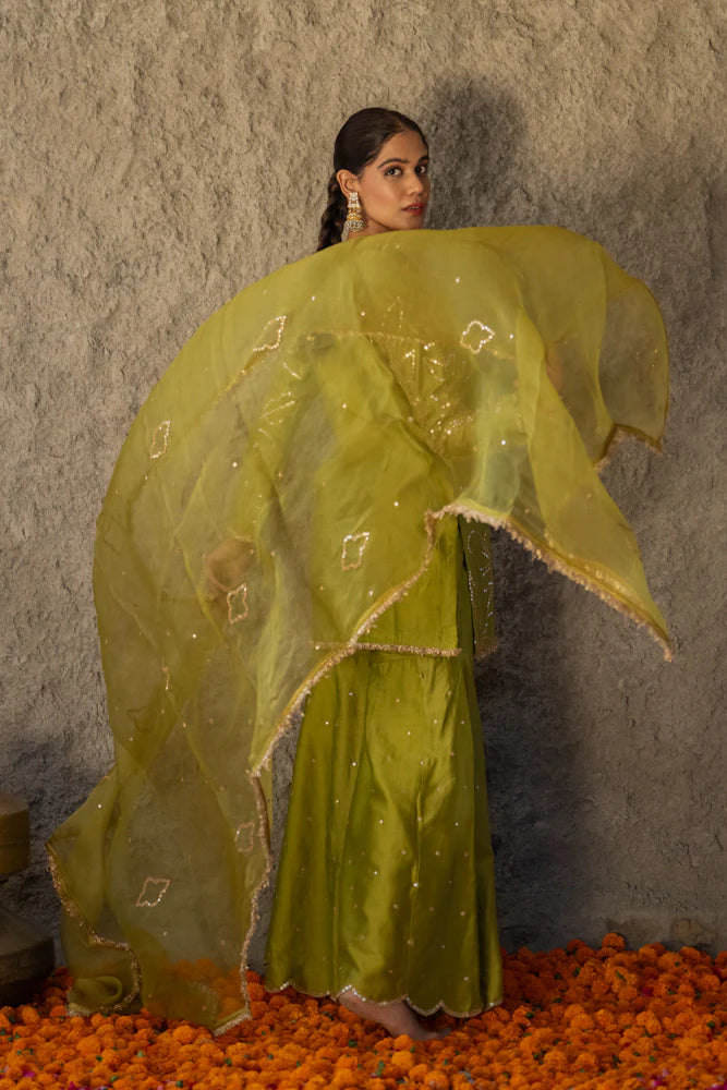 Neev Henna Green Sharara Set