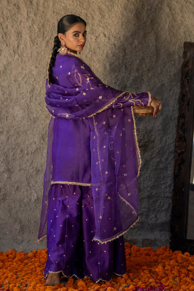Neev Purple Green Sharara Set