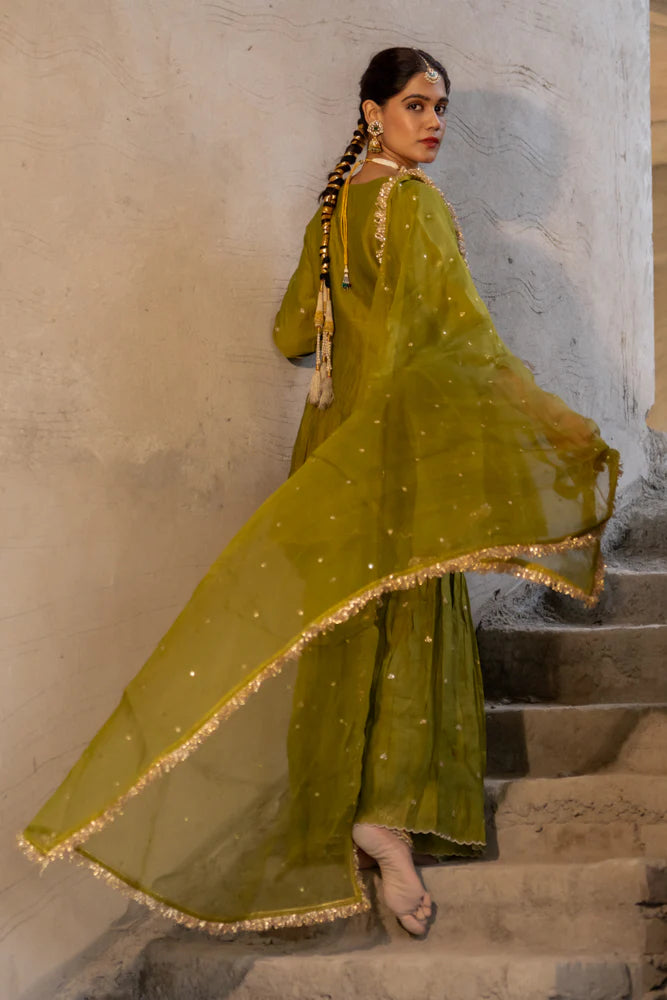 Neev Rani Henna Green Sharara Set