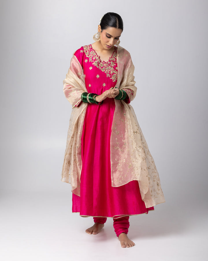 gold tissue zari embroidered dupatta