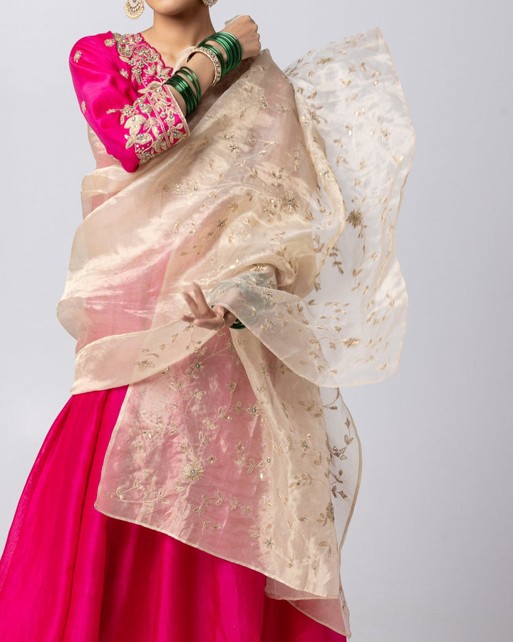gold tissue zari embroidered dupatta