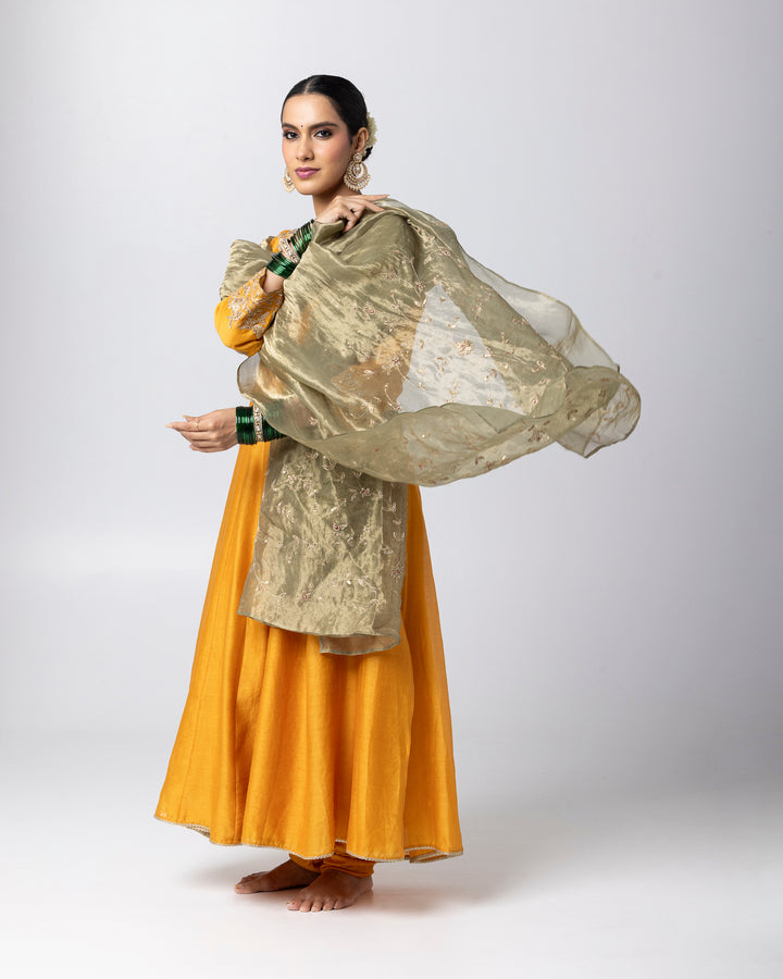 mustard silk chanderi embroidered angrakha kurta with churidar and green tissue zari dupatta