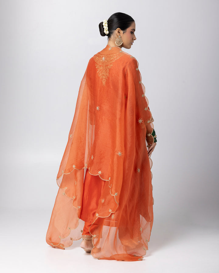 rust silk chanderi embroidered kurta with cotton silk bottom and silk organza dupatta