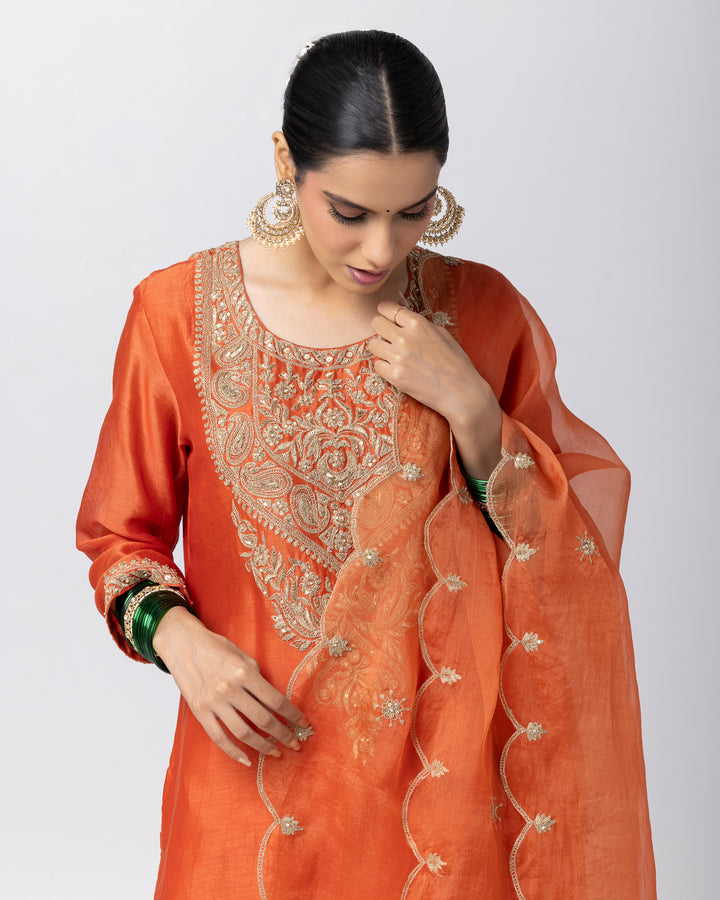 rust silk chanderi embroidered kurta with cotton silk bottom and silk organza dupatta