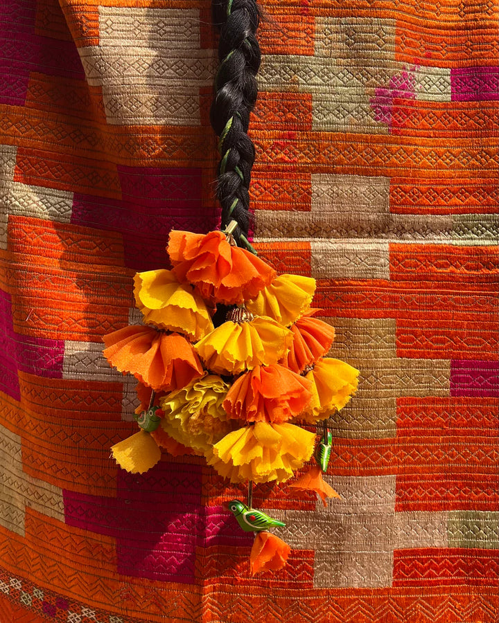 Marigold parrot parandi