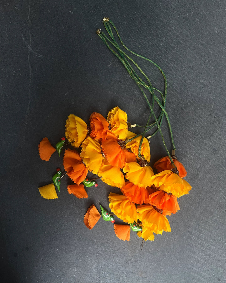 Marigold parrot parandi