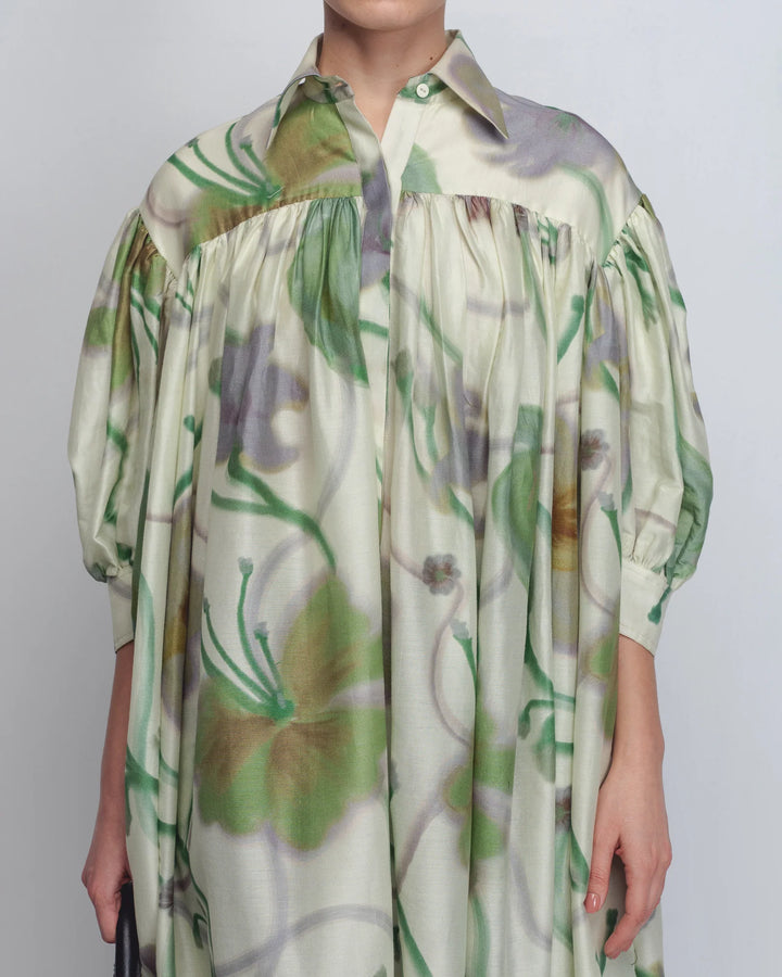 Paron Print Drop Shirt Dress