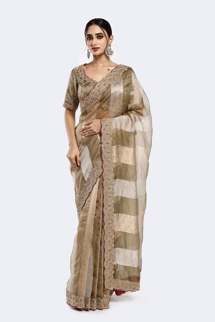 Panelled Tissue Saree