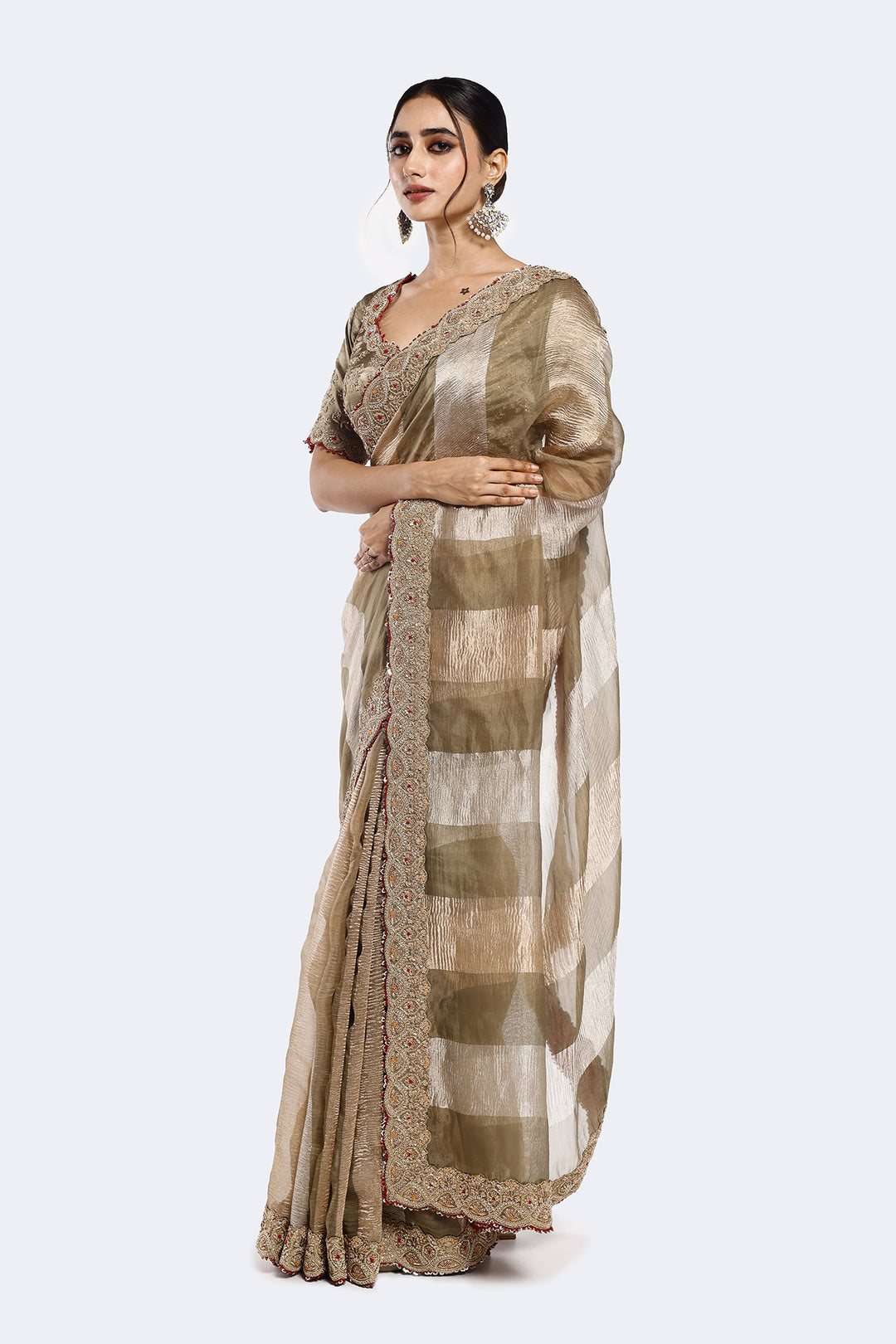 Panelled Tissue Saree