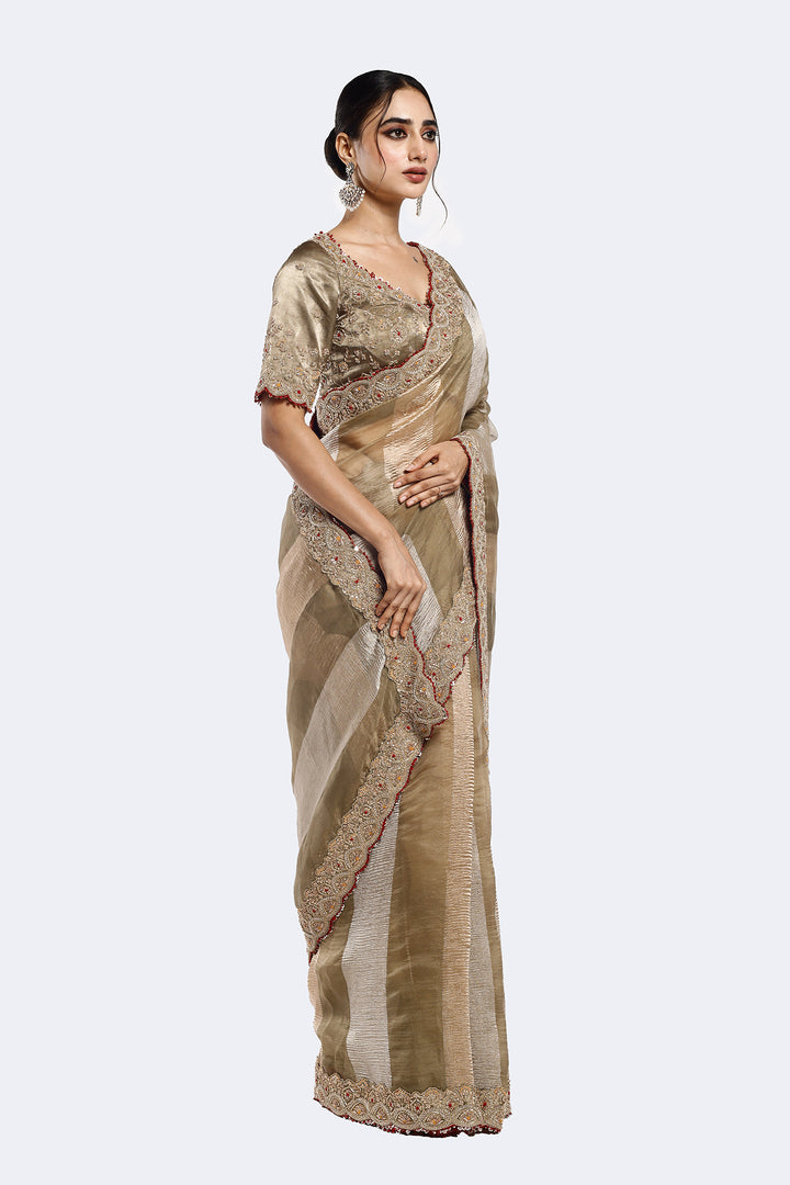 Panelled Tissue Saree