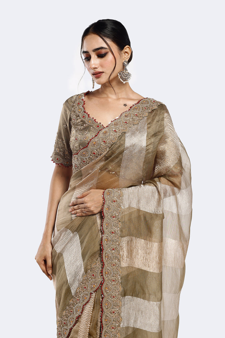 Panelled Tissue Saree