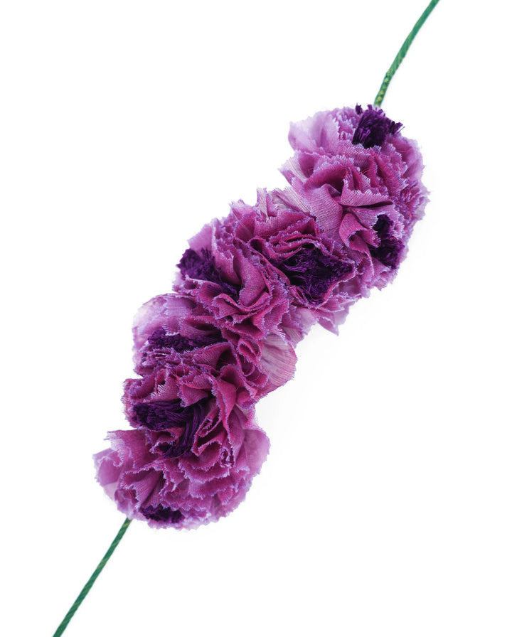 Petrea Gajra
