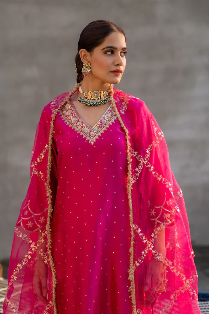 Rani Aari A-line Kurta Set