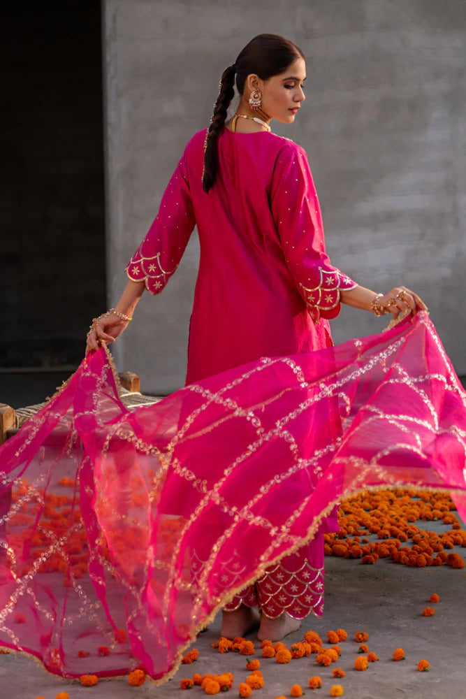 Rani Aari A-line Kurta Set