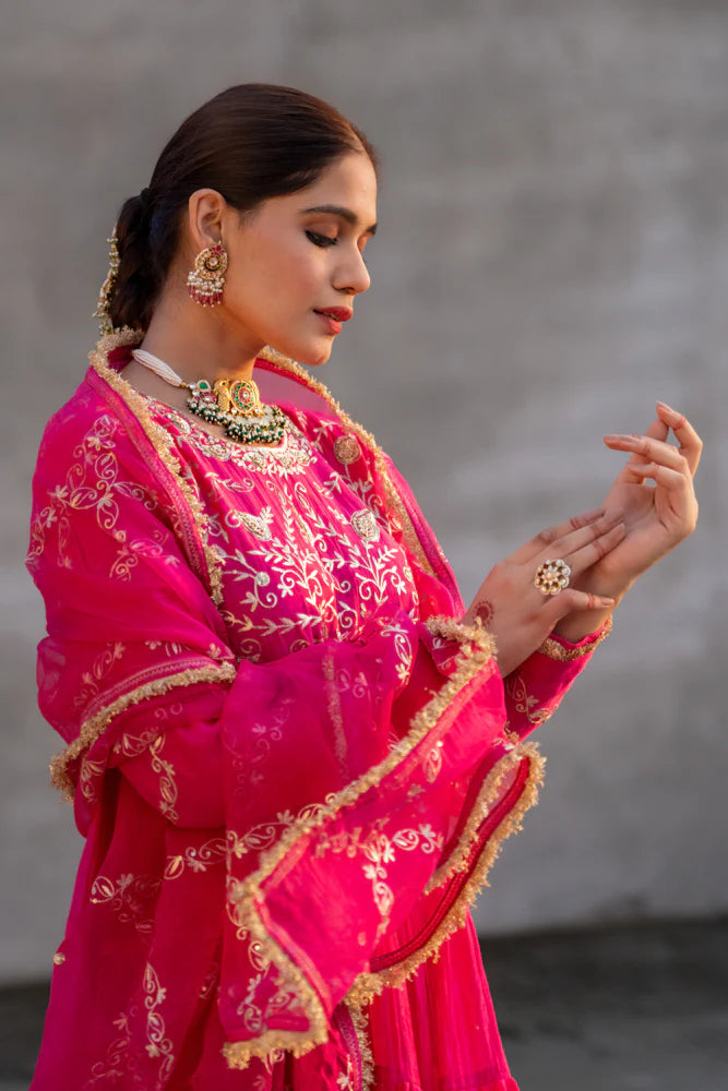 Rani Anarkali Suit Set