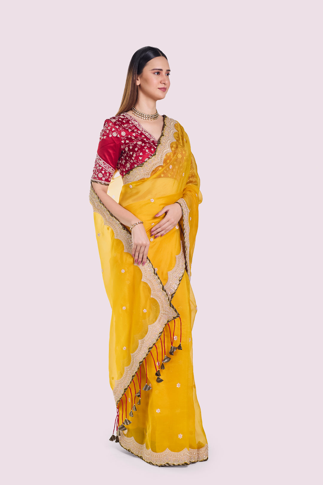 Tonakan Organza Saree