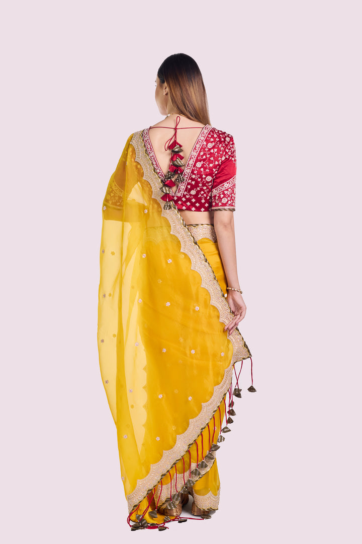 Tonakan Organza Saree