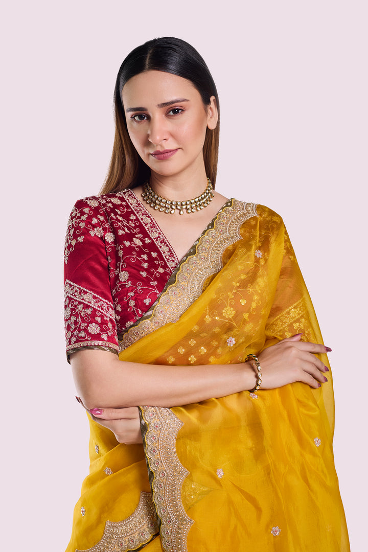 Tonakan Organza Saree