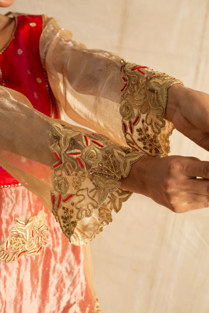 Tarini Suit Set in Red