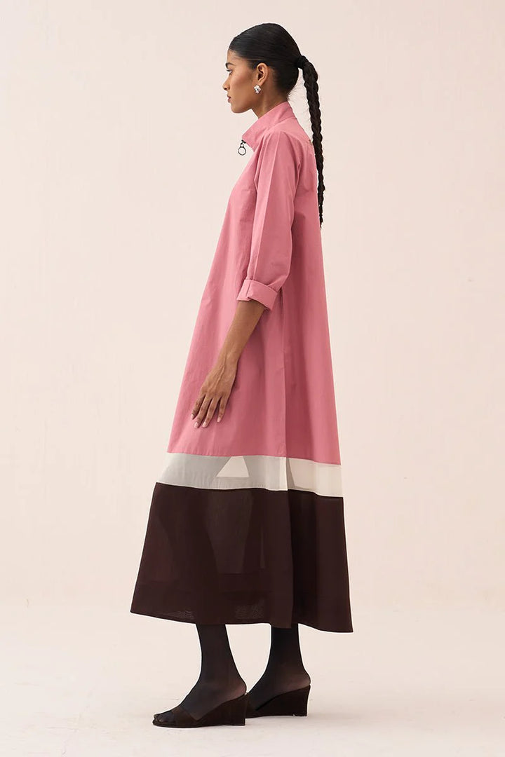 Turtle Neck Dress