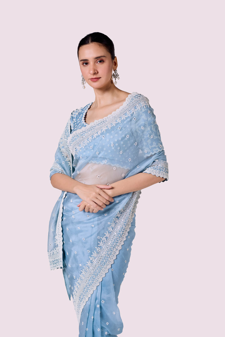 Winter Moti Organza Saree