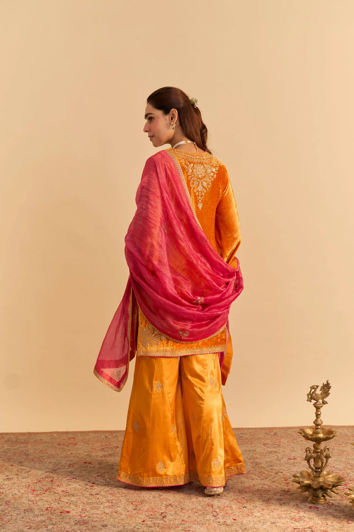 Nooren - velvet Orange Kurta with Flared Palazzo and Dupatta