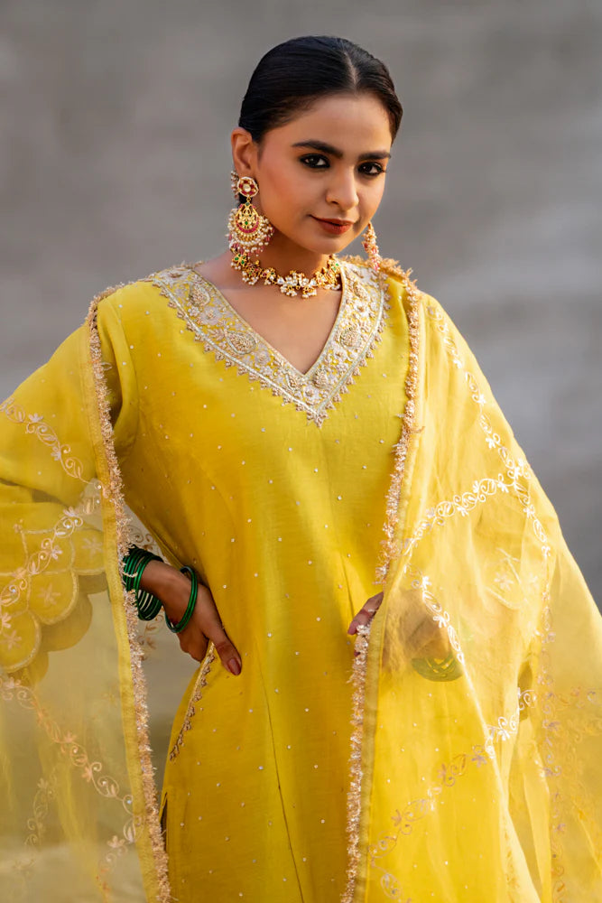 Yellow Aari A-line Kurta Set